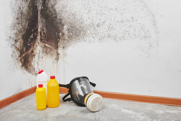Best Local Mold Removal Service  in Wetumpka, AL