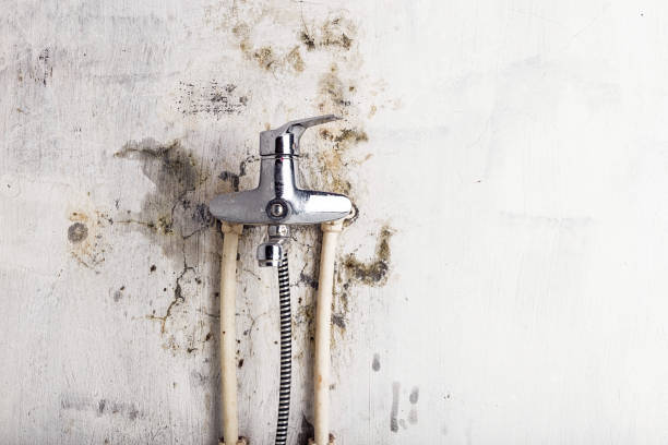 Best Home Mold Removal  in Wetumpka, AL