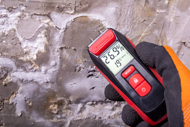 Best Mold Inspection  in Wetumpka, AL