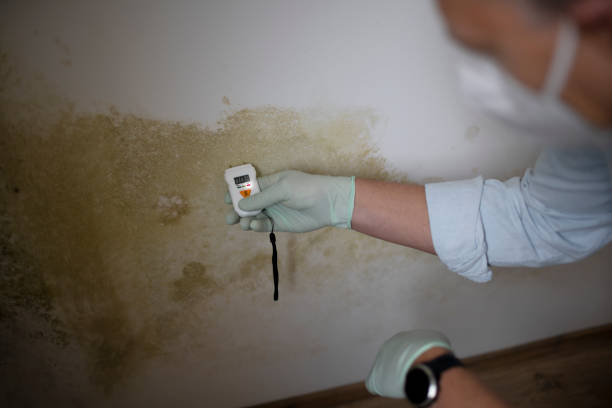 Best Local Mold Removal Service  in Wetumpka, AL