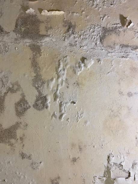 Best Residential Mold Removal  in Wetumpka, AL