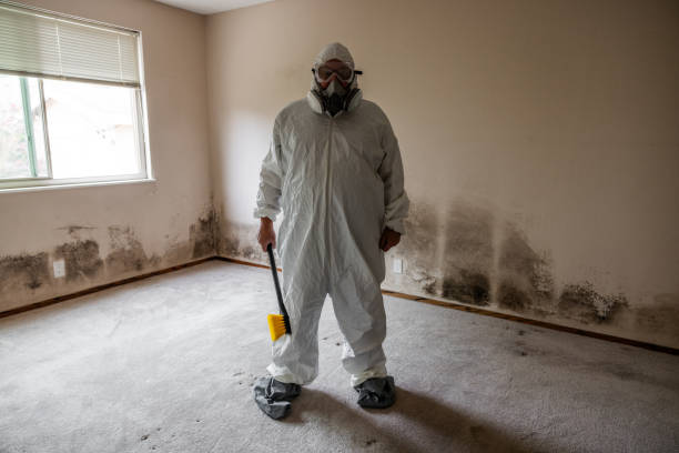 Best Commercial Mold Removal  in Wetumpka, AL